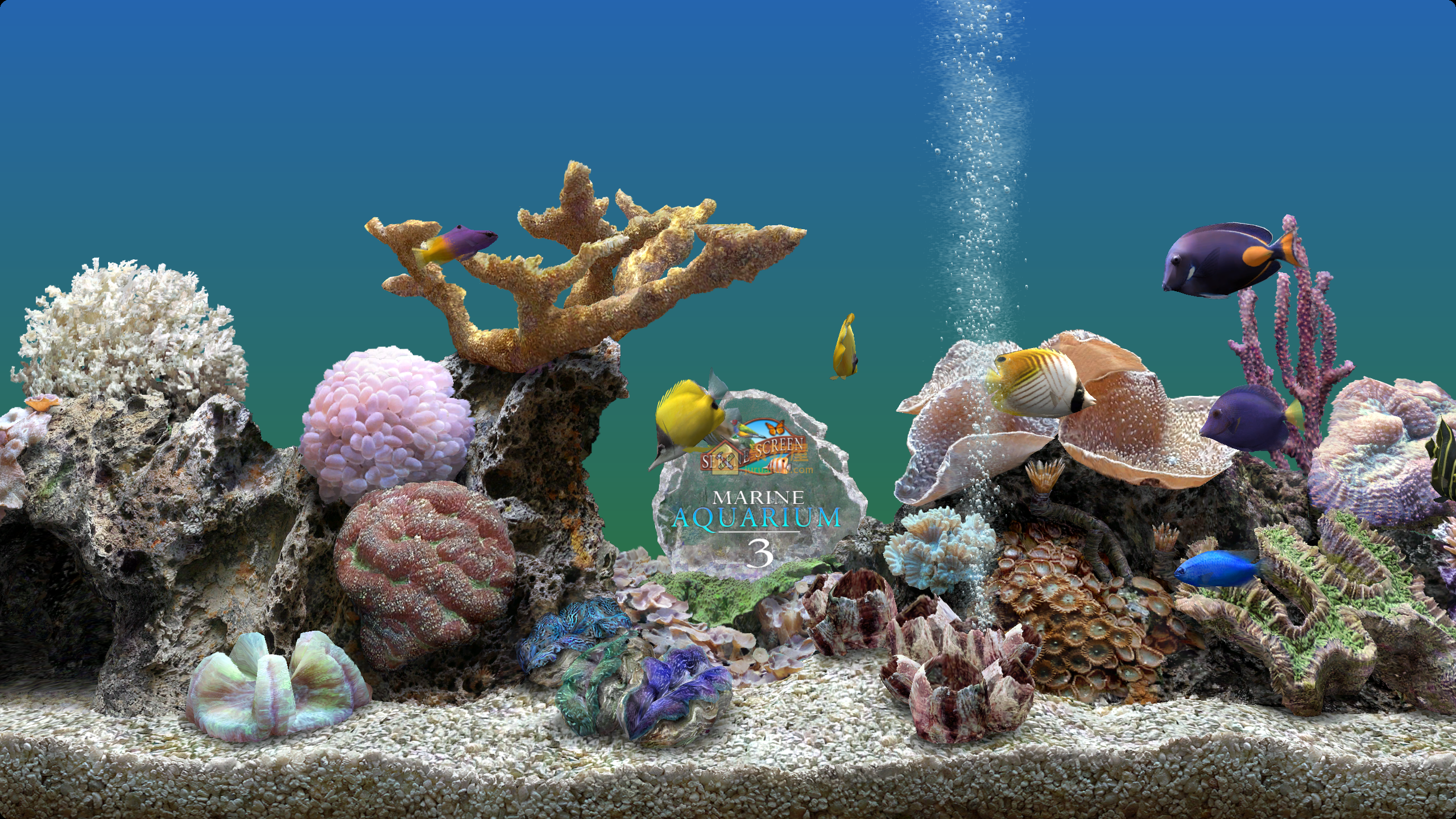 3D热带水族鱼屏保 SereneScreen Marine Aquarium 中文汉化版，逼真电子鱼缸体验